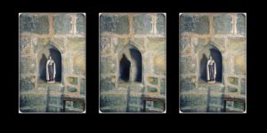 Miraculous saints - Frank Verreyken