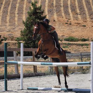 Jumping Practice