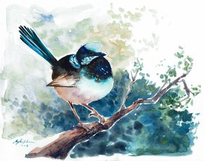 Fairy Wren - Almblade_Art