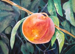 Peachy - Almblade_Art