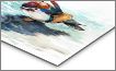 Metal Print