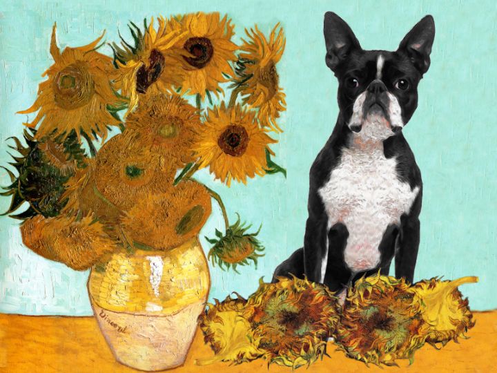 Boston Terrier Sunflowers Van Gogh NobilityDogs Paintings & Prints