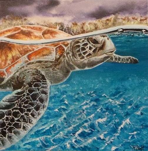 Original Turtle acrylic painting - Helen Butt
