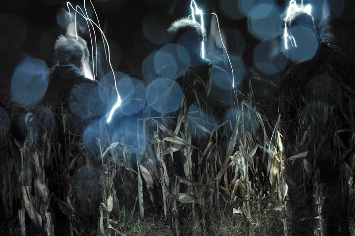 Spirits at Play - Phosphorescence