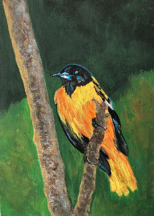 Bird scout - Riverview Gallery