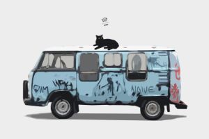 Cat on the Van