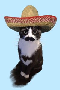 Sombrero Cat