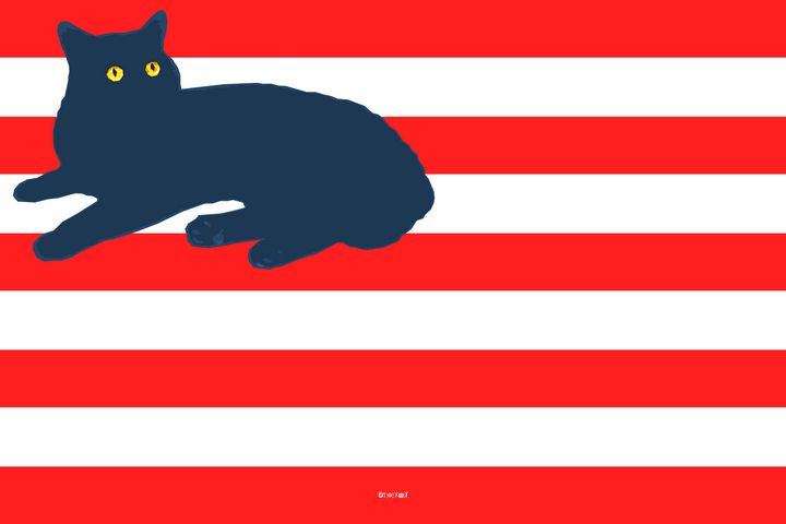 RAD Cat Canvas Flag