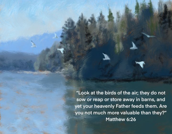 Matthew 6:26 - The Art of Larry Whitler