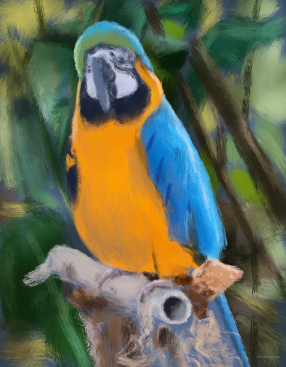 Blue and Gold Macaw Parrot - The Art of Larry Whitler - Digital Art ...