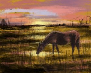 Wild Horse At Payne’s Prairie - The Art of Larry Whitler