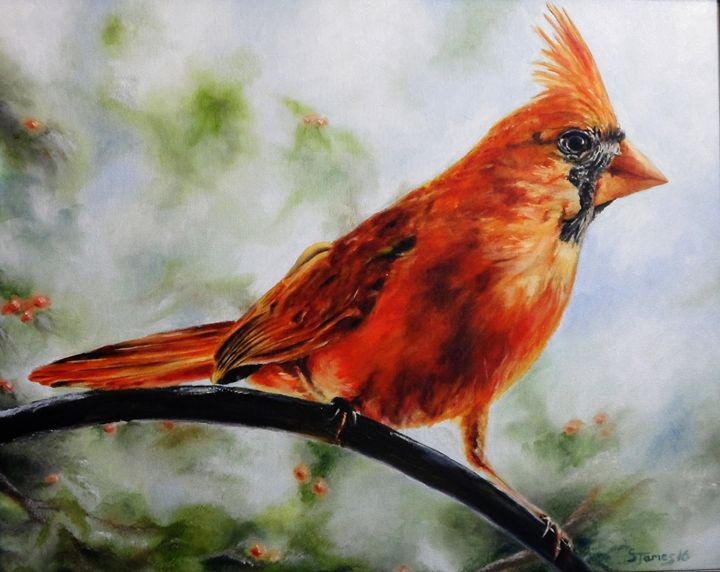 Northern Cardinal - Steve James - Paintings & Prints, Animals, Birds ...