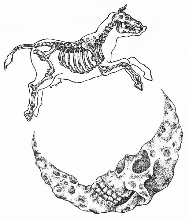 Wonderful Wahaba Walrus Fossil Button Cow Jumped Over the Moon   1877633508  Petite tattoos Cow tattoo Cool tattoos
