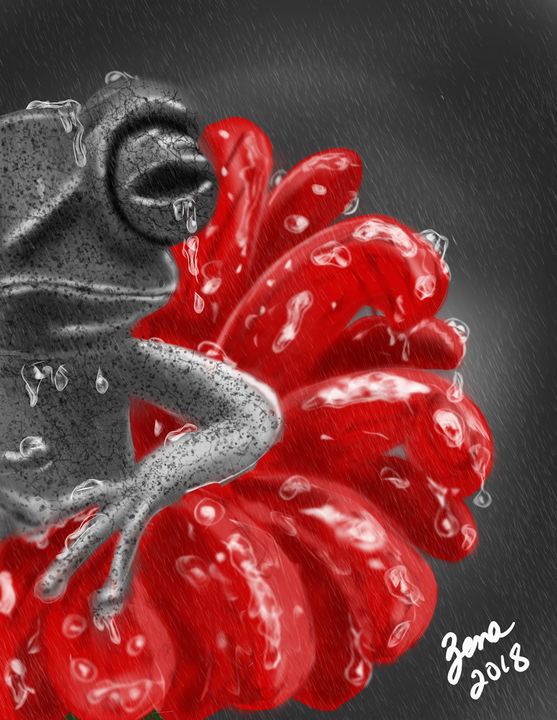 Stone Frog in the Rain - Sena