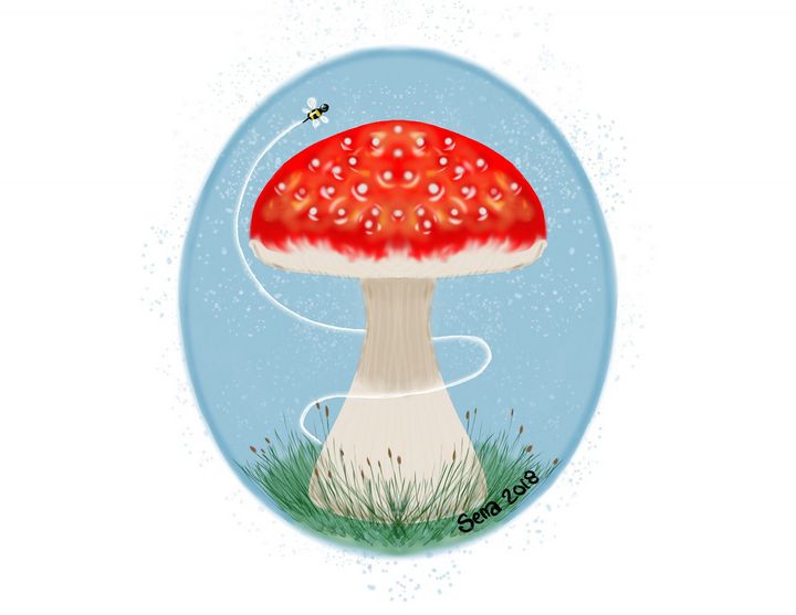 Mushroom and bumble bee - Sena