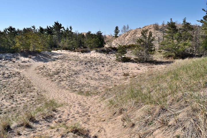 Ludington Sand Dunes - Gerbers Fine Art - Photography, Landscapes ...