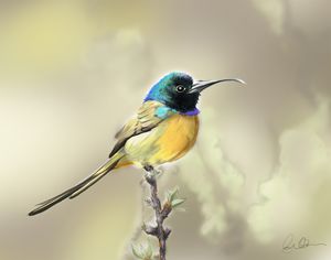 Hand drawing of bird