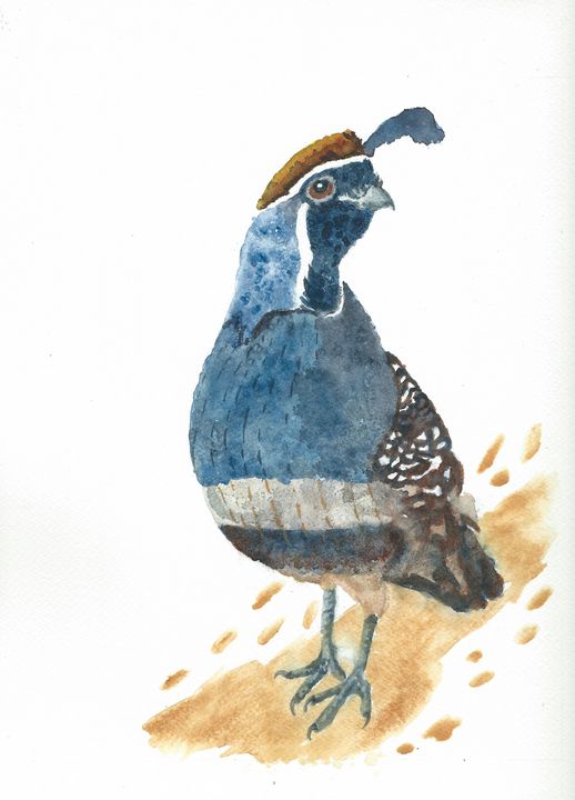 Gambel's quail - REV Originals - Paintings & Prints, Animals, Birds ...