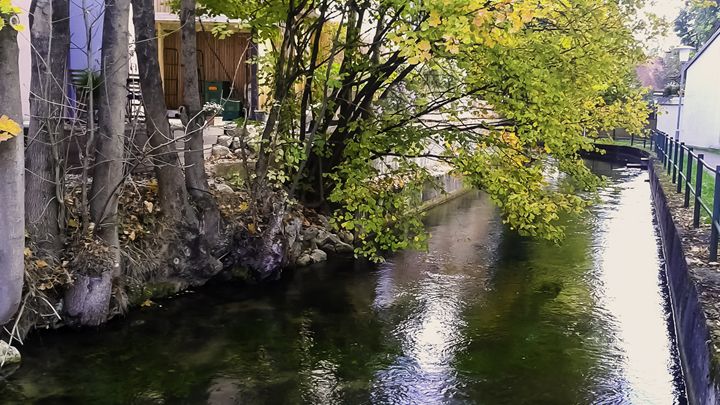 River Under the Trees - Bogdan Dumitrescu