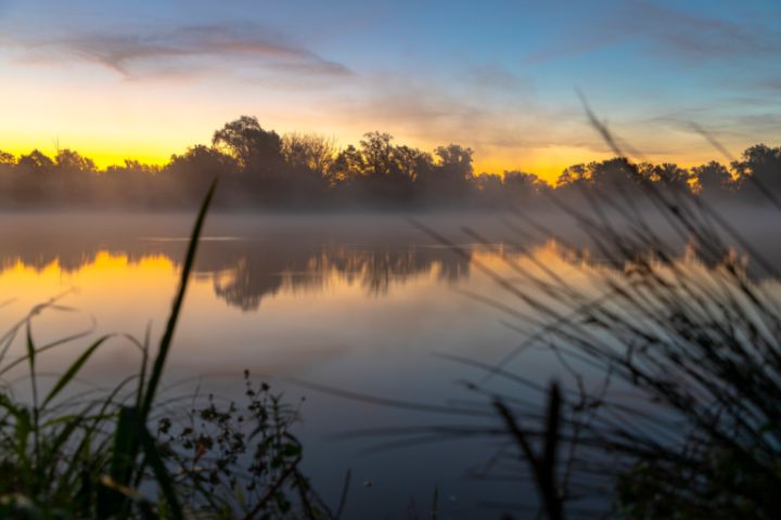 Foggy lake morning - Zlatko Žalec