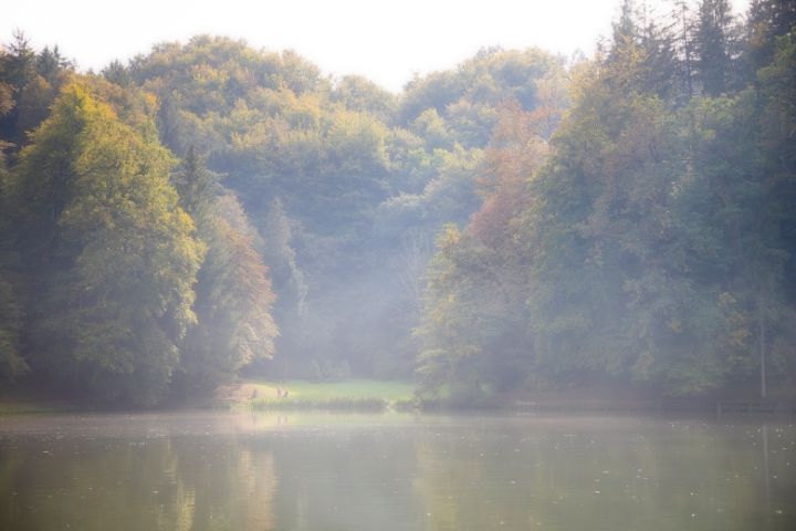 Misty lake - Zlatko Žalec