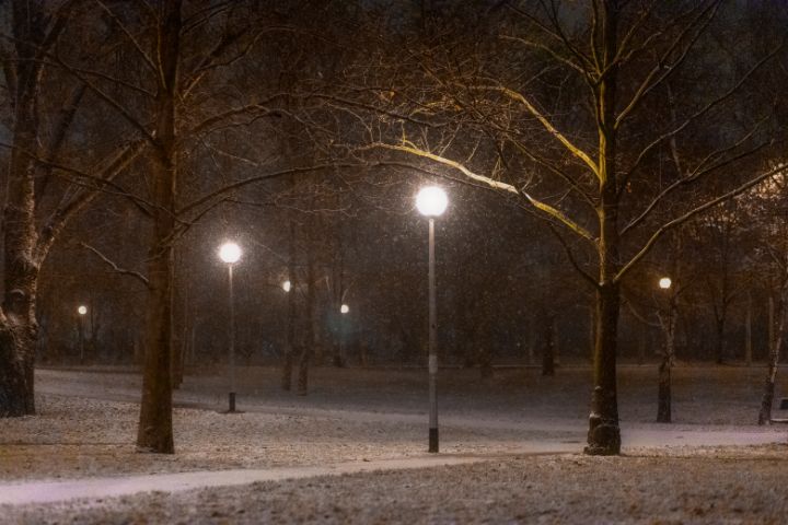 Winter in a park - Zlatko Žalec