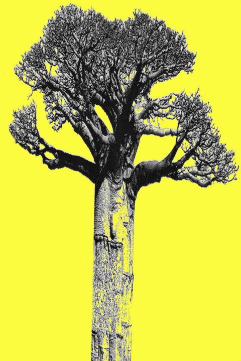 TREE OF LIFE YELLOW - STUDIO SOSTRE