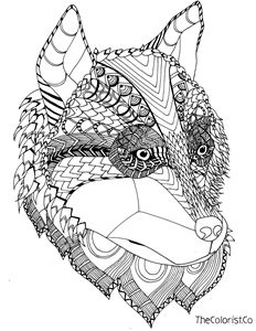 Husky Line Drawing