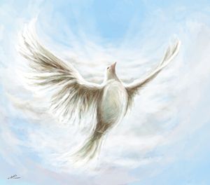 Soar on the wings of wind