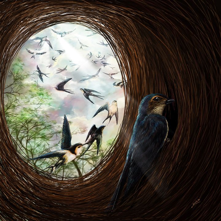 The swallow light - Iris Gat - Art
