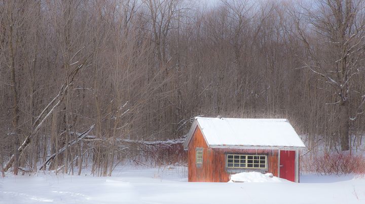 Cabin In A Wood Maureen S Moments Photography Landscapes