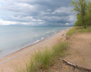 Shoreline Magic