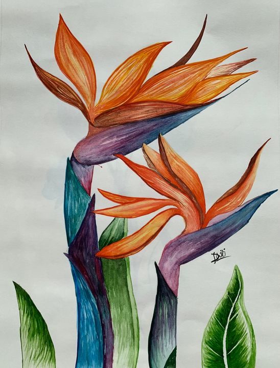 Dwiti Rao - Paintings & Prints, Drawings & Illustration