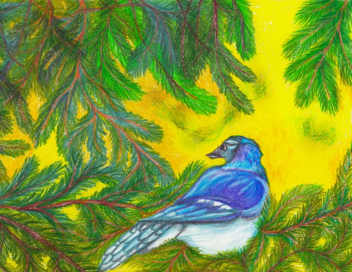 Bluebird Drawing - HelloArtsy