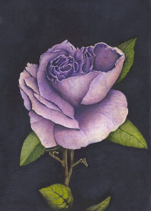 rose purple paint