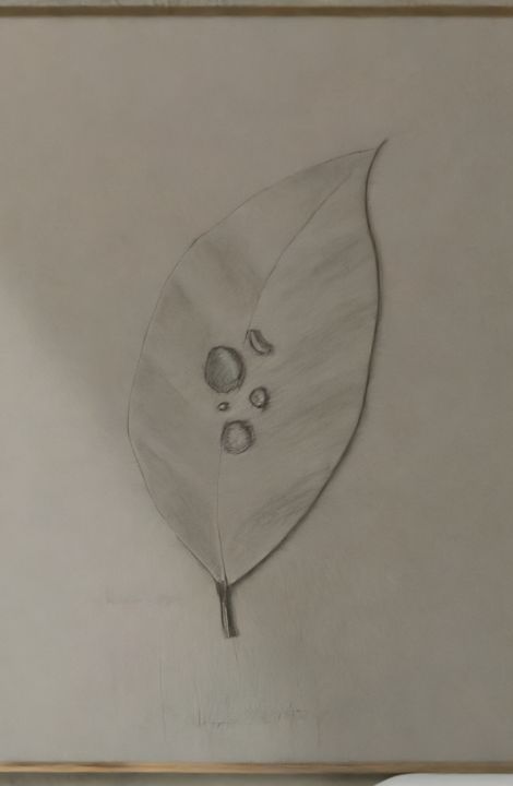 Artivo - Drawings & Illustration