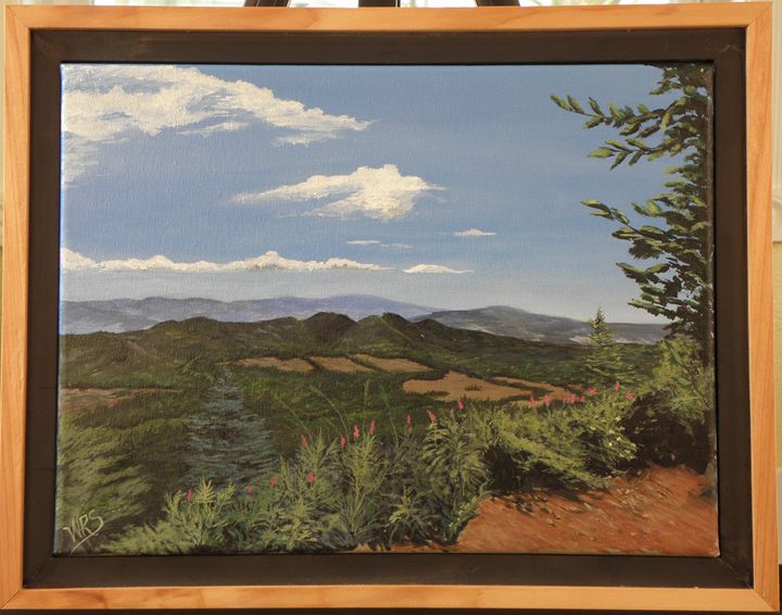 Saddle Mt. Vista - WSanders Gallery