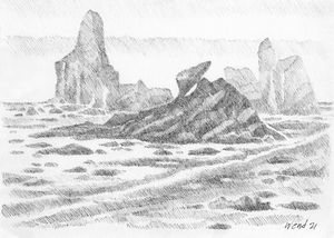 Shi Shi Beach Rocks!