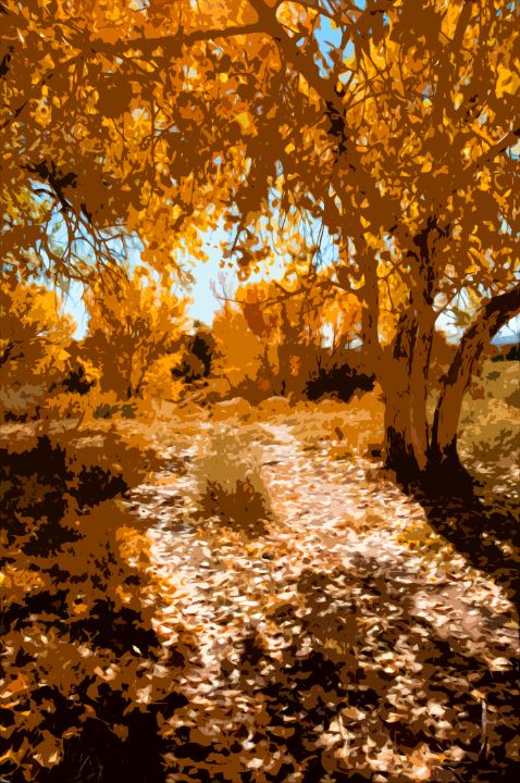 ABSTRACT DIRT ROAD THRU FALL TREES - BILL LEVERTON - Photography ...