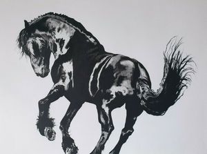 Black Stallion Horse Drawing 10x14"