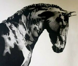 Black Horse Drawing 16x14" Frame