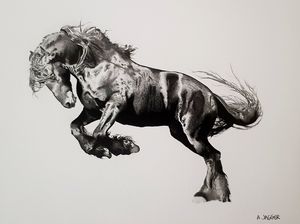 Black Stallion Horse 16x12" Framed