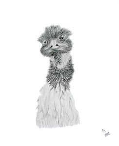 Endurance Emu