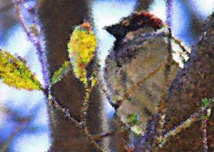 Birds water color painting - Spectra - Digital Art, Animals, Birds, & Fish,  Birds, Sparrows - ArtPal