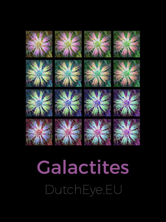 Galactites - B - DutchEye.EU