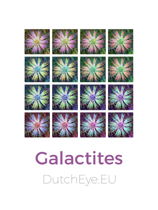 Galactites - W - DutchEye.EU