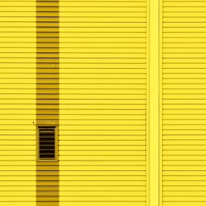Breathing Yellow - Jacob Berghoef FineArtPhotography