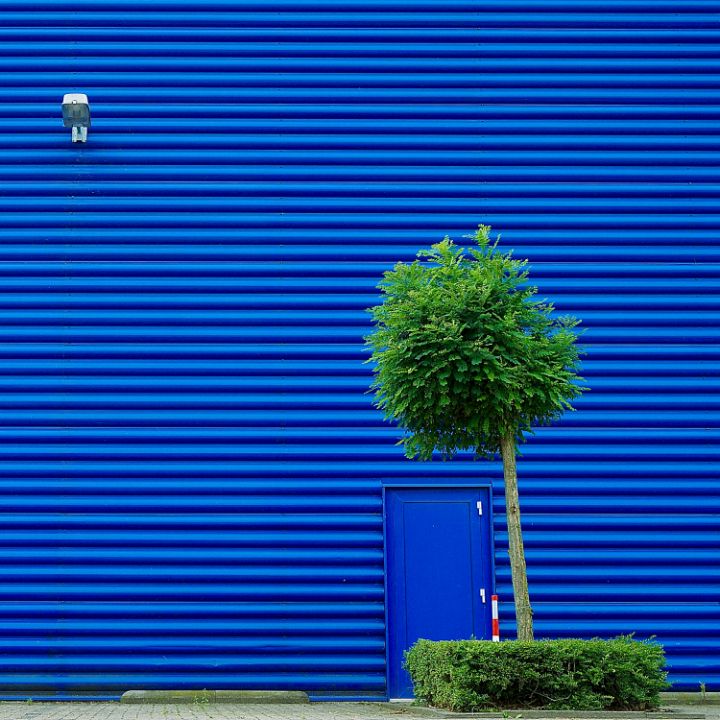 Green Tree and Blue Door - Jacob Berghoef FineArtPhotography