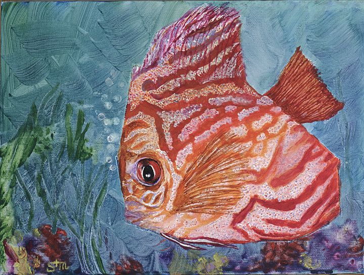 bl_2218, 4/13/16, 4:14 PM,  8C, 3678 - Cross-Eyed Fish Art Creations LLC