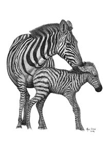 Zebra Pointillism Drawing